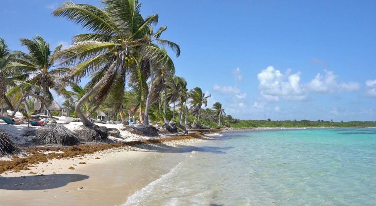 Cabanas Ecoturisticas Costa Maya Махахуал Екстериор снимка